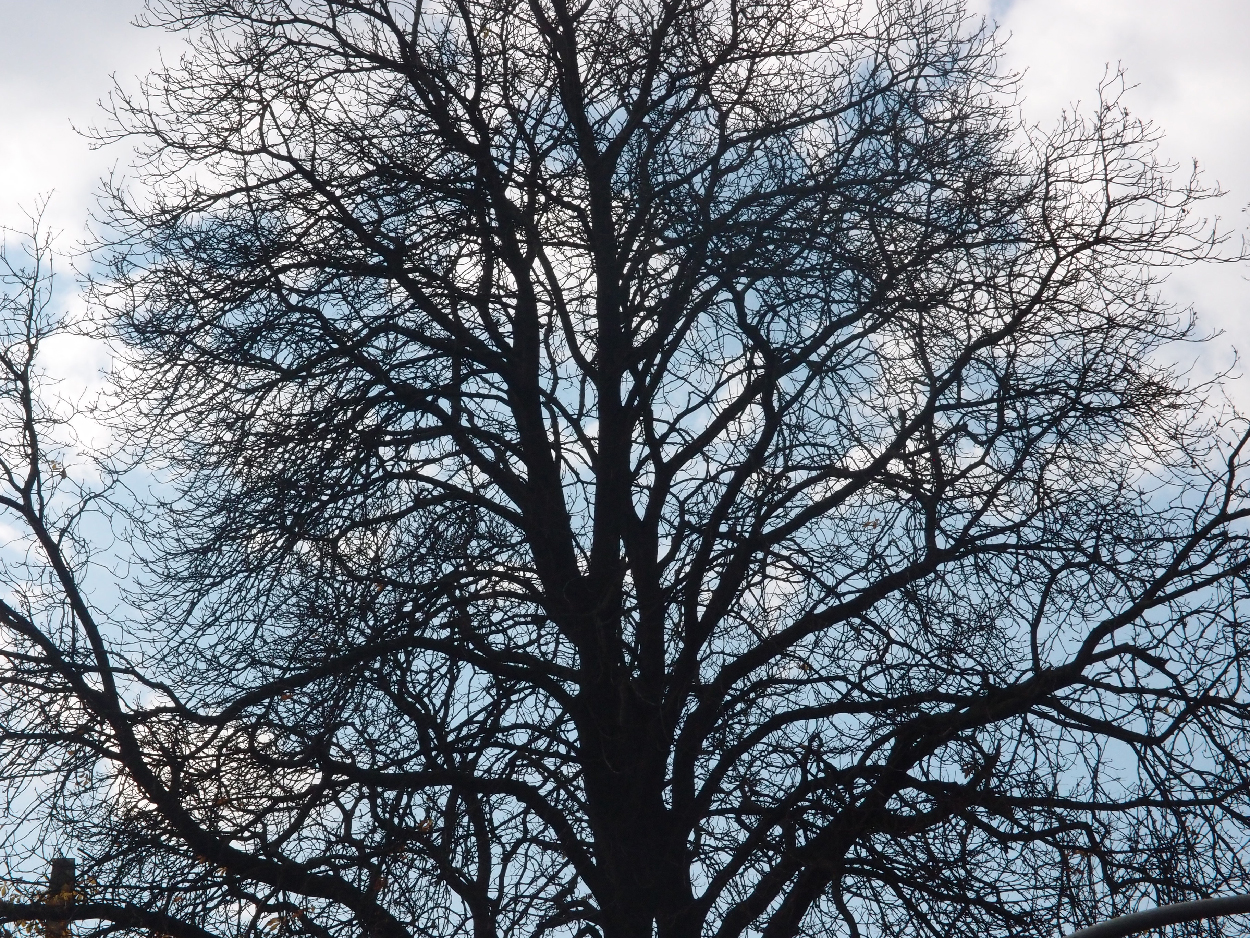 003 2015-11-10 durch die Stadt (Dat Tape 2)